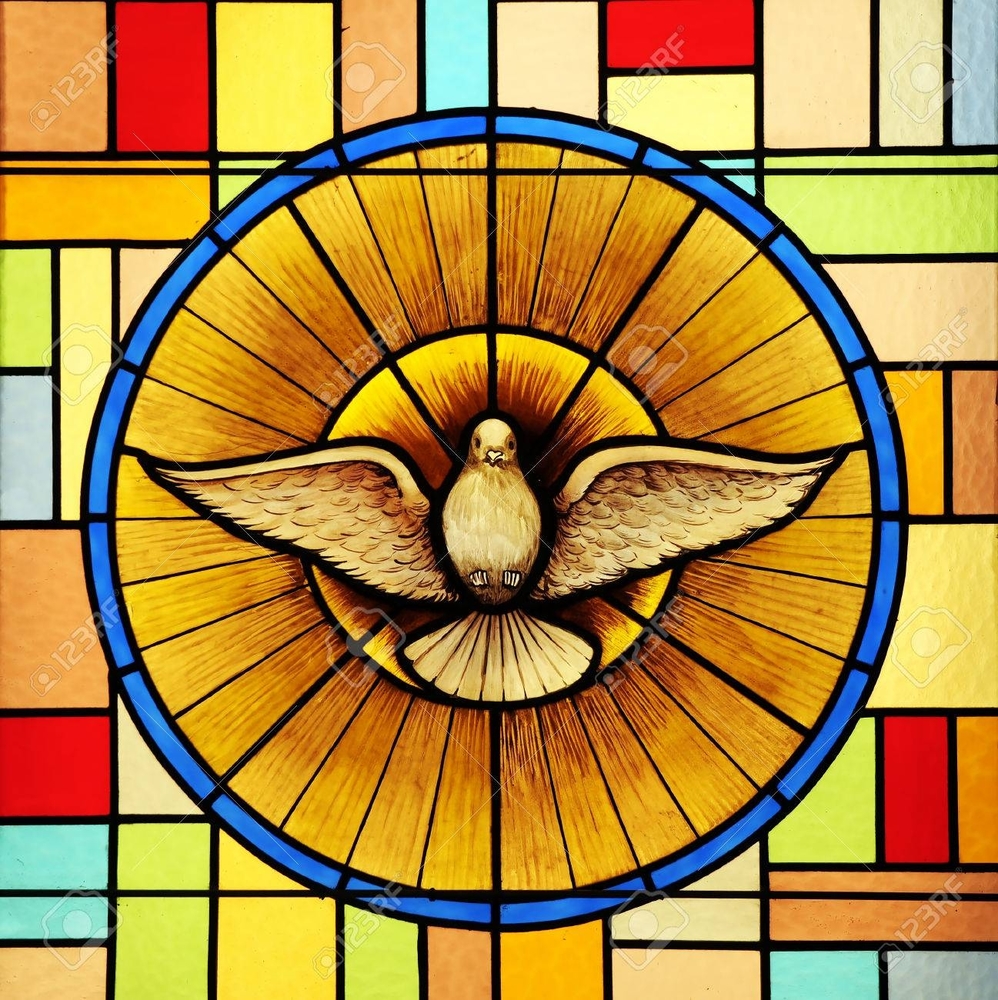 Meet your Posher, Toni